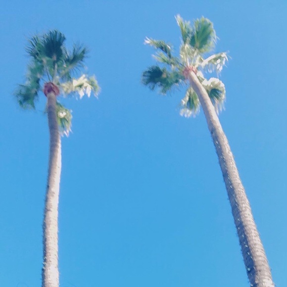 LULULEMON Mystery Box 📦🚀⁉️❓‼️❓Fall Edition 🍂🍁✨ - Picture 11 of 16